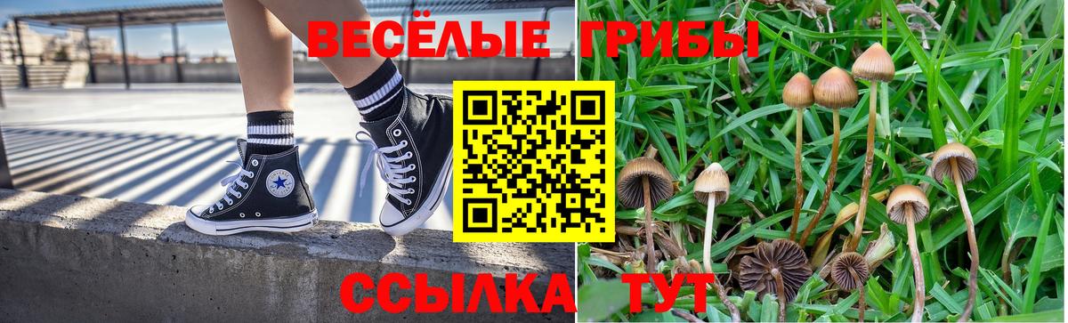 Меф кристаллы  Бошки Шишки  NBOMe  Амфетамин кристаллы  ГАШ  Кирово-Чепецк  Вход с VPN  LSD-25 