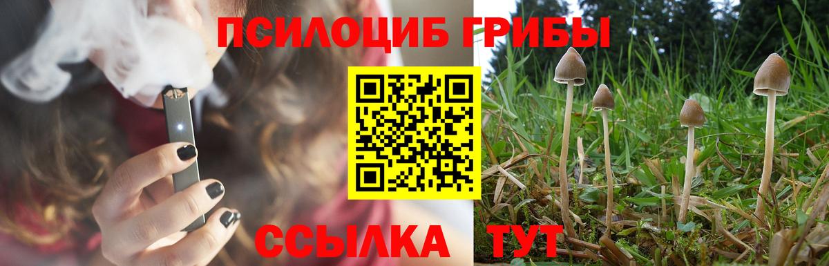 Кирово-Чепецк  Галлюциногенные грибы MAGIC MUSHROOMS  Псилоцибиновые грибы ЛСД  Вход с VPN 